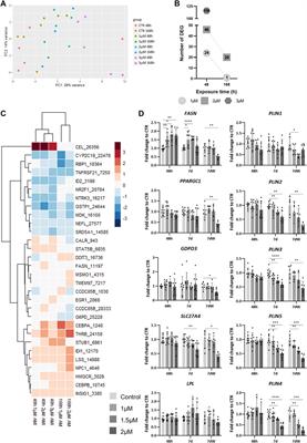 Integrating distribution kinetics and toxicodynamics to assess repeat dose neurotoxicity in vitro using human BrainSpheres: a case study on amiodarone